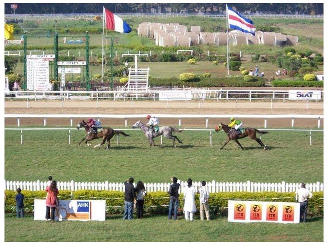 horse racing in action